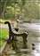 Rain_11.jpg