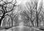 Rain_15.jpg