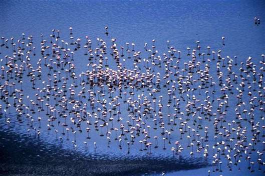 Click for large image