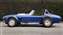 shelbycobra_josh_scott-lg.jpg