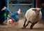 I can run like a bull!.jpg