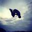 The sky is limited.jpg