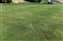 A lightning strike leaves its mark on grass.jpg