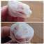 A lizard shed his facial skin all at once.jpg