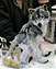 A wolf sculpture made out of pipe cleaners.jpg
