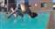 I thought we'd already established that mere humans cannot walk on water.jpg