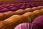 First place in Travel 'Strawberry Greenhouses' by Leyla Emektar.jpg