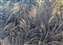2016 Finalist 'Jack Frost' by Paula Davies.jpg
