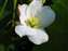 Picture5.jpg
