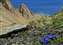 J003.JPG