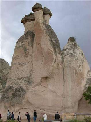 Click for large image