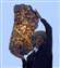 Fukang meteorite.jpg