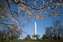 Washington, D.C., USA (3).jpg