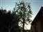 DSCF0019.JPG
