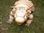 IMAG0015.JPG