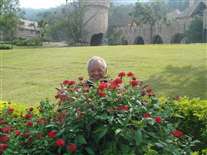 Click for large image